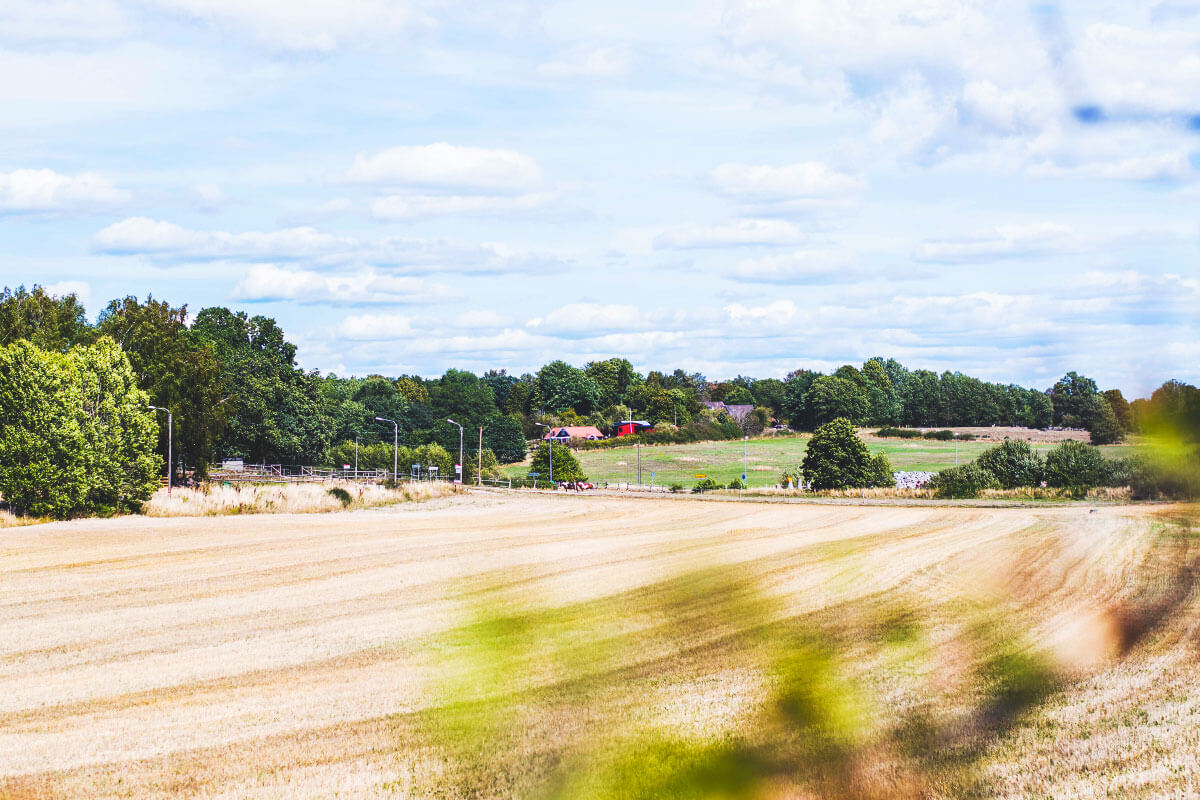 Åkerfält på landsbygden.